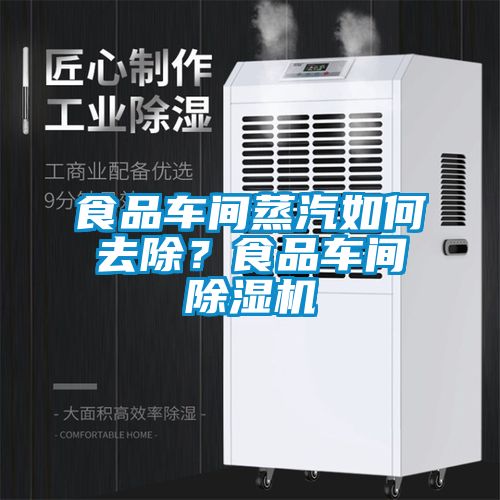 食品車間蒸汽如何去除？食品車間除濕機