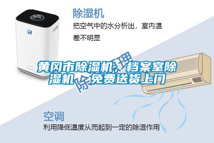 黃岡市除濕機，檔案室除濕機  免費送貨上門