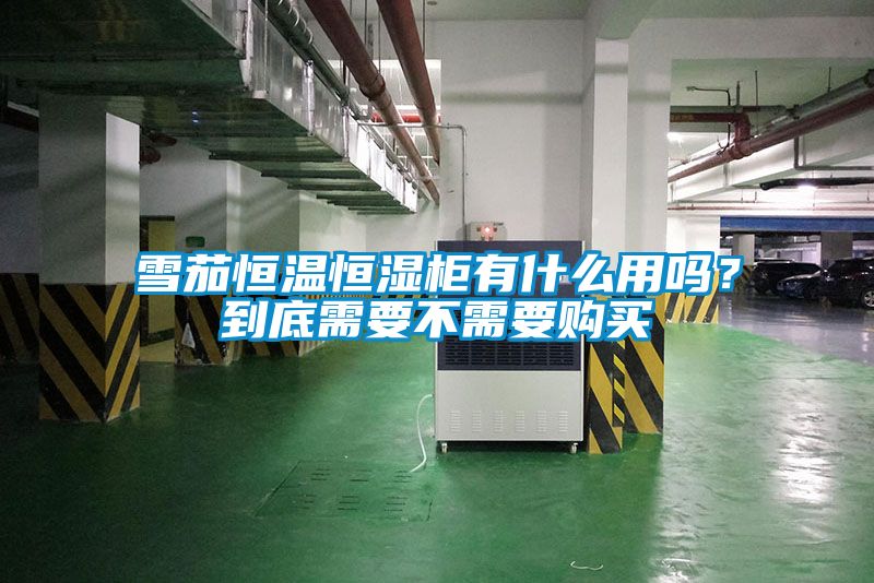 雪茄恒溫恒濕柜有什么用嗎？到底需要不需要購(gòu)買