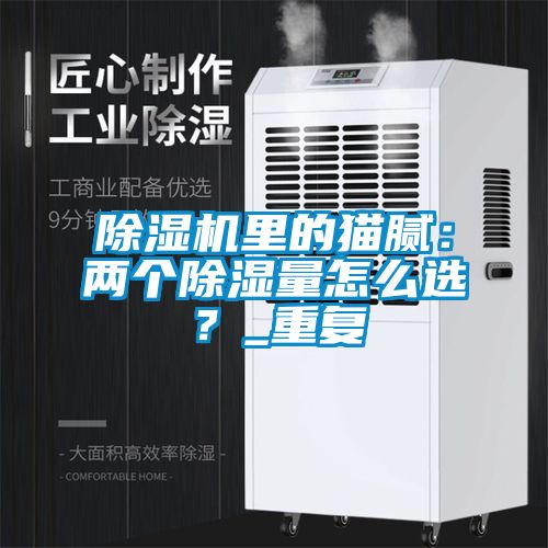 除濕機里的貓膩：兩個除濕量怎么選？_重復(fù)