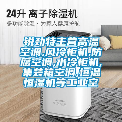 銳勁特主營高溫空調(diào),風冷柜機,防腐空調(diào),水冷柜機,集裝箱空調(diào),恒溫恒濕機等工業(yè)空